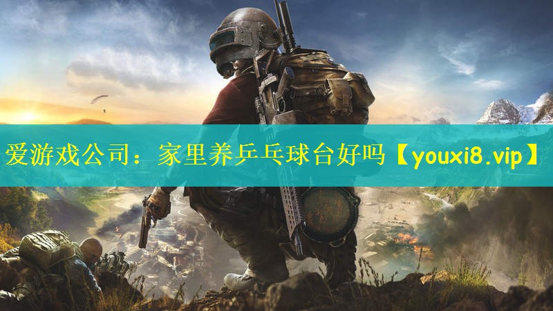 爱游戏公司：家里养乒乓球台好吗