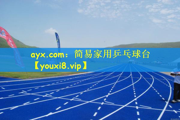 ayx.com：简易家用乒乓球台