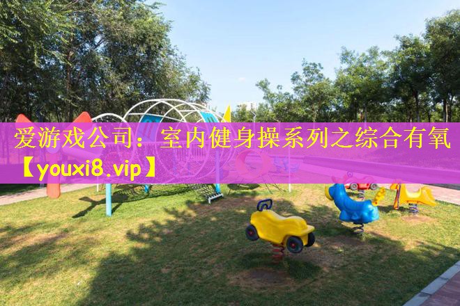 爱游戏公司：室内健身操系列之综合有氧