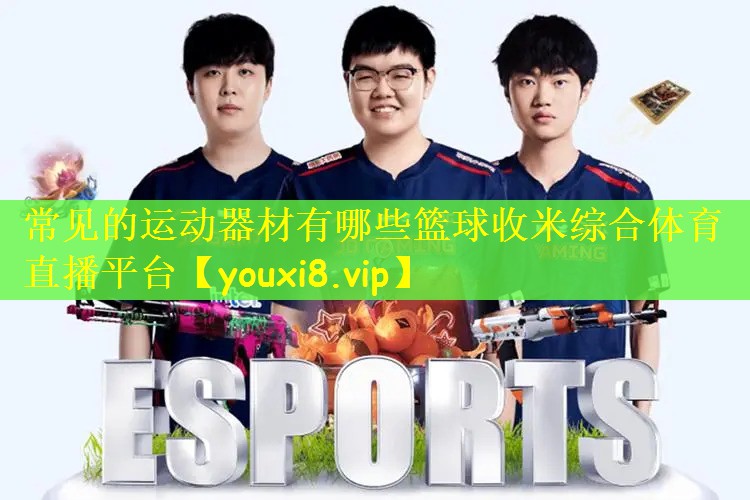 常见的运动器材有哪些篮球收米综合体育直播平台