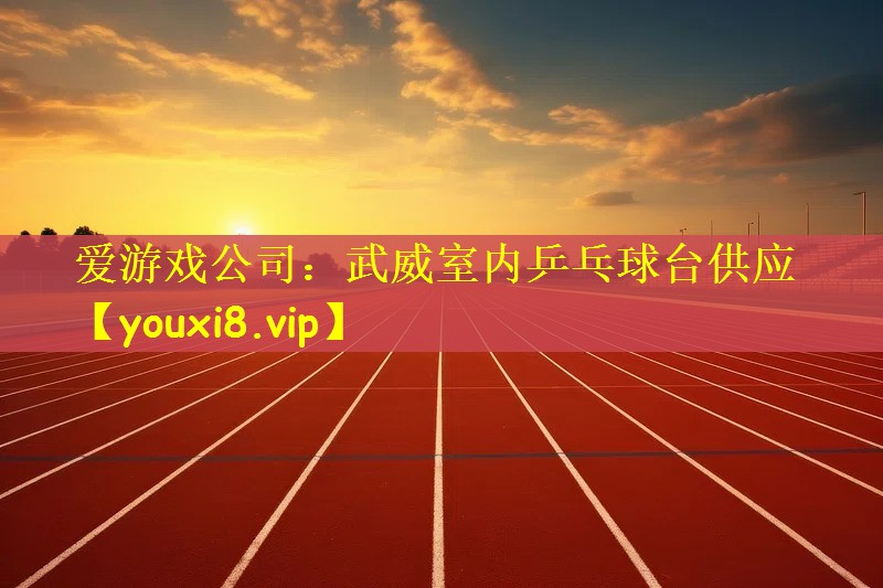 爱游戏公司：武威室内乒乓球台供应