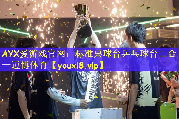 AYX爱游戏官网：标准桌球台乒乓球台二合一迈博体育