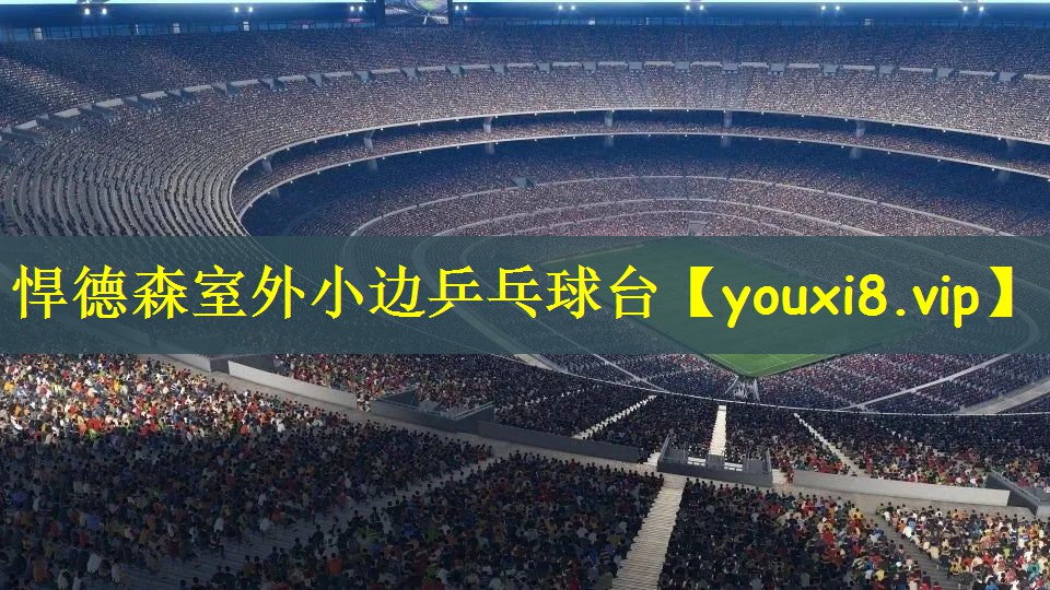 悍德森室外小边乒乓球台