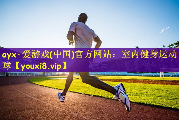 室内健身运动球