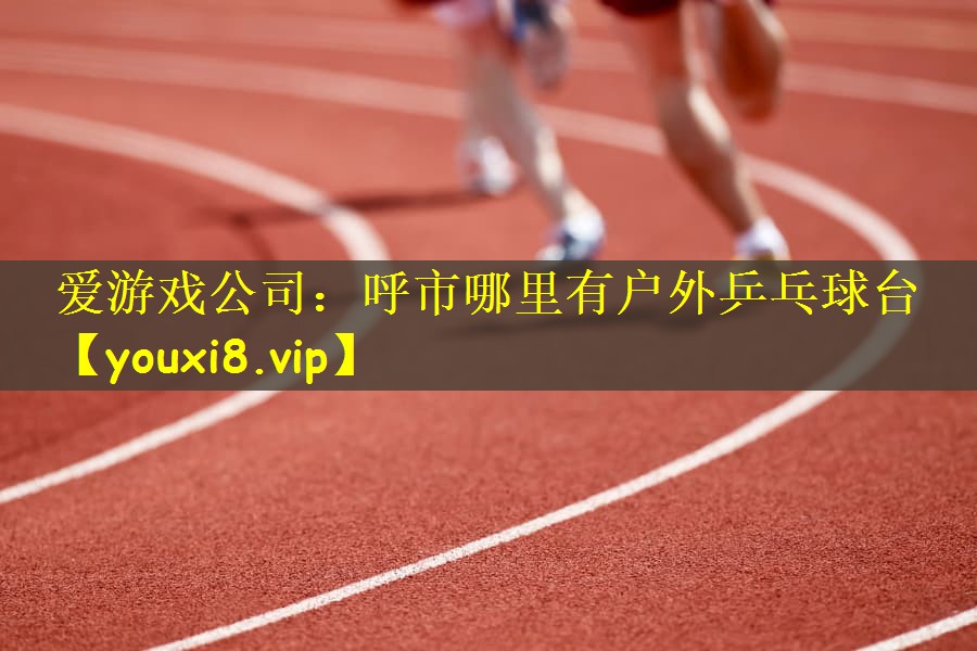 呼市哪里有户外乒乓球台
