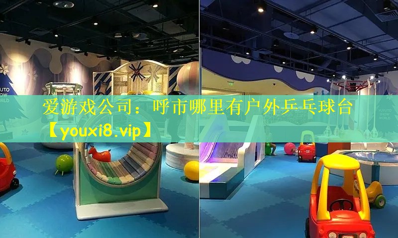 呼市哪里有户外乒乓球台