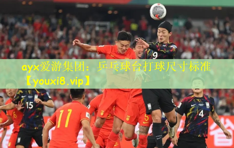 乒乓球台打球尺寸标准